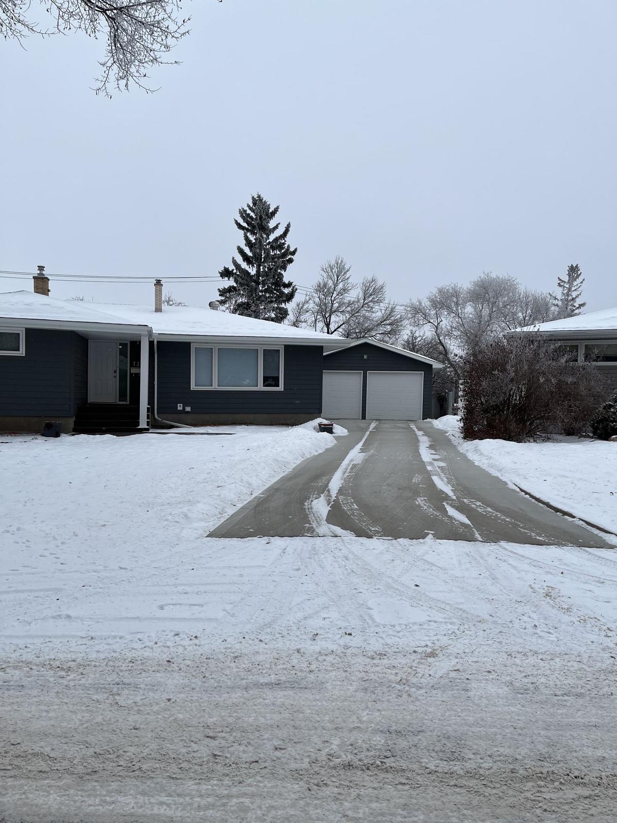 Winter driveway